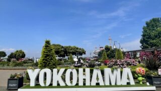 山下公園のバラ2024春の見頃はいつ？港の見える公園も紹介