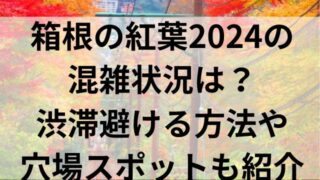 箱根の紅葉2024の混雑状況は？渋滞避ける方法や穴場スポットも紹介