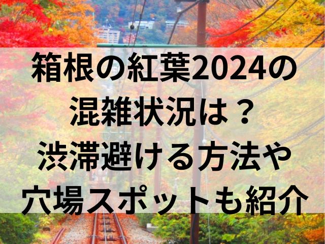 箱根の紅葉2024の混雑状況は？渋滞避ける方法や穴場スポットも紹介